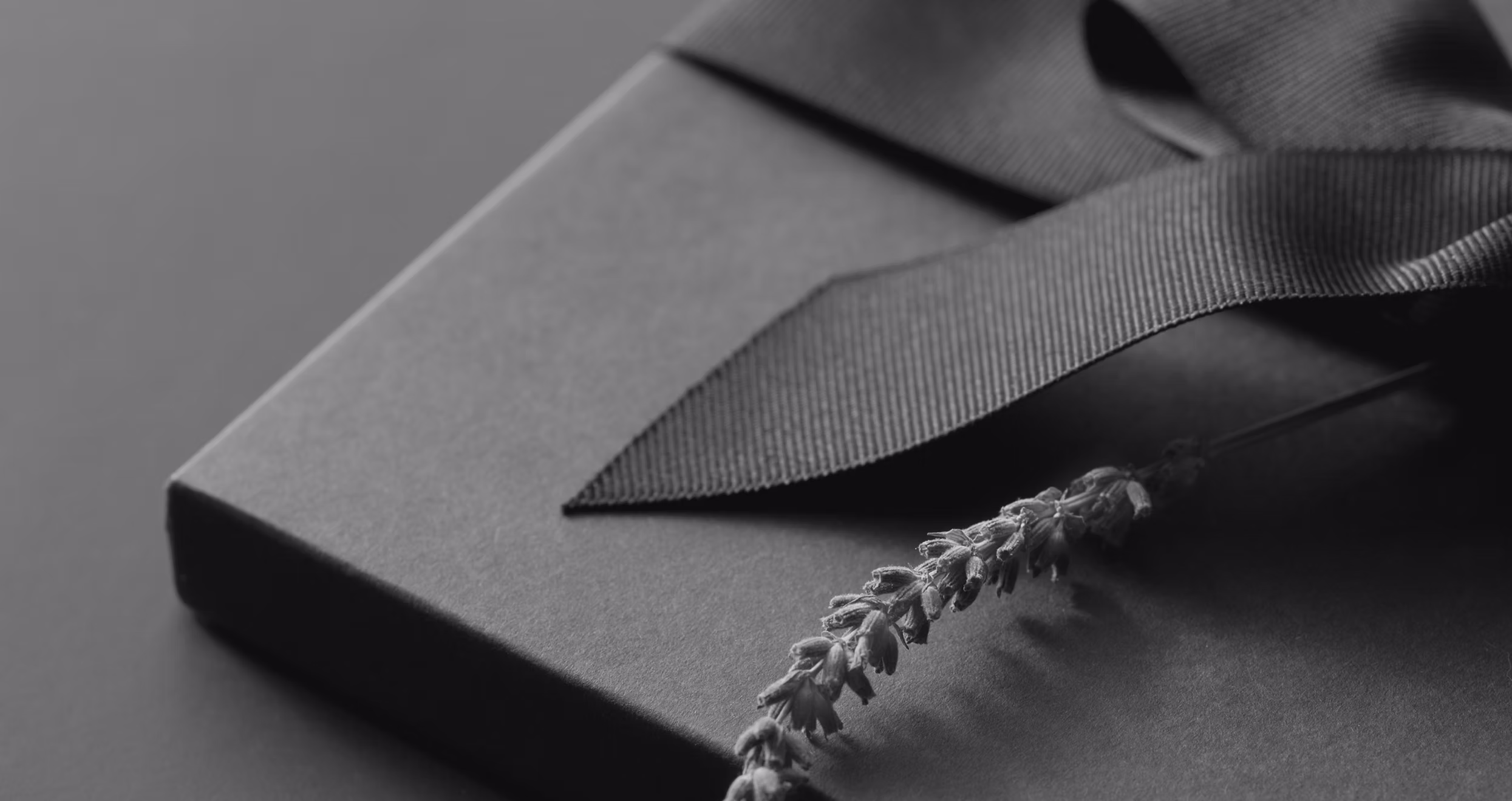 repositioning for the next chapter of growth.